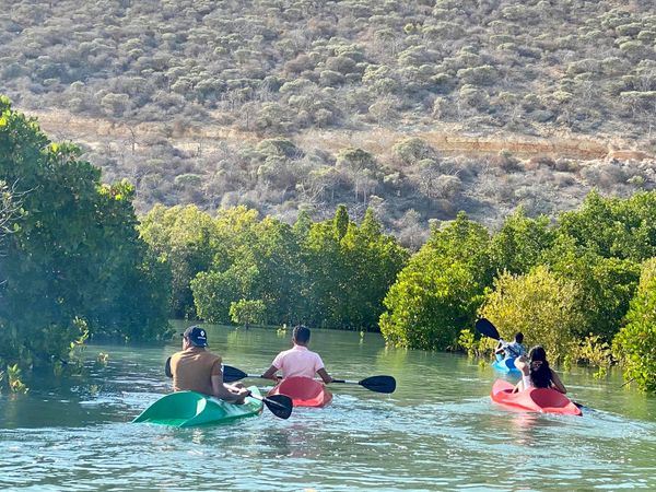 Découverte du village, de la grotte de Sarodrano; et canoë dans les mangroves