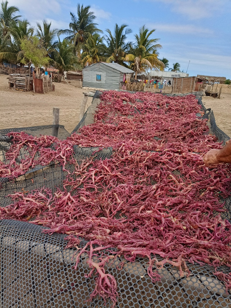 Découverte du village, de la grotte de Sarodrano; et canoë dans les mangroves