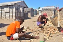 Construction de pirogue traditionnelle