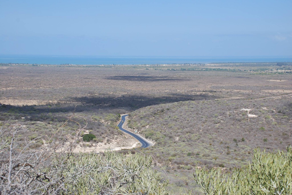 Table Mountain, Antsokay Arboretum, and the Tropic of Capricorn