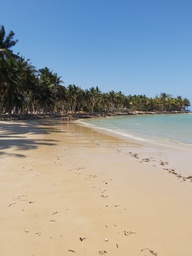Voyage au cœur du nord de Tuléar