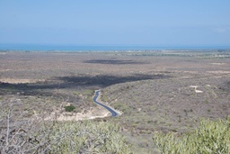 Table Mountain, Antsokay Arboretum, and the Tropic of Capricorn